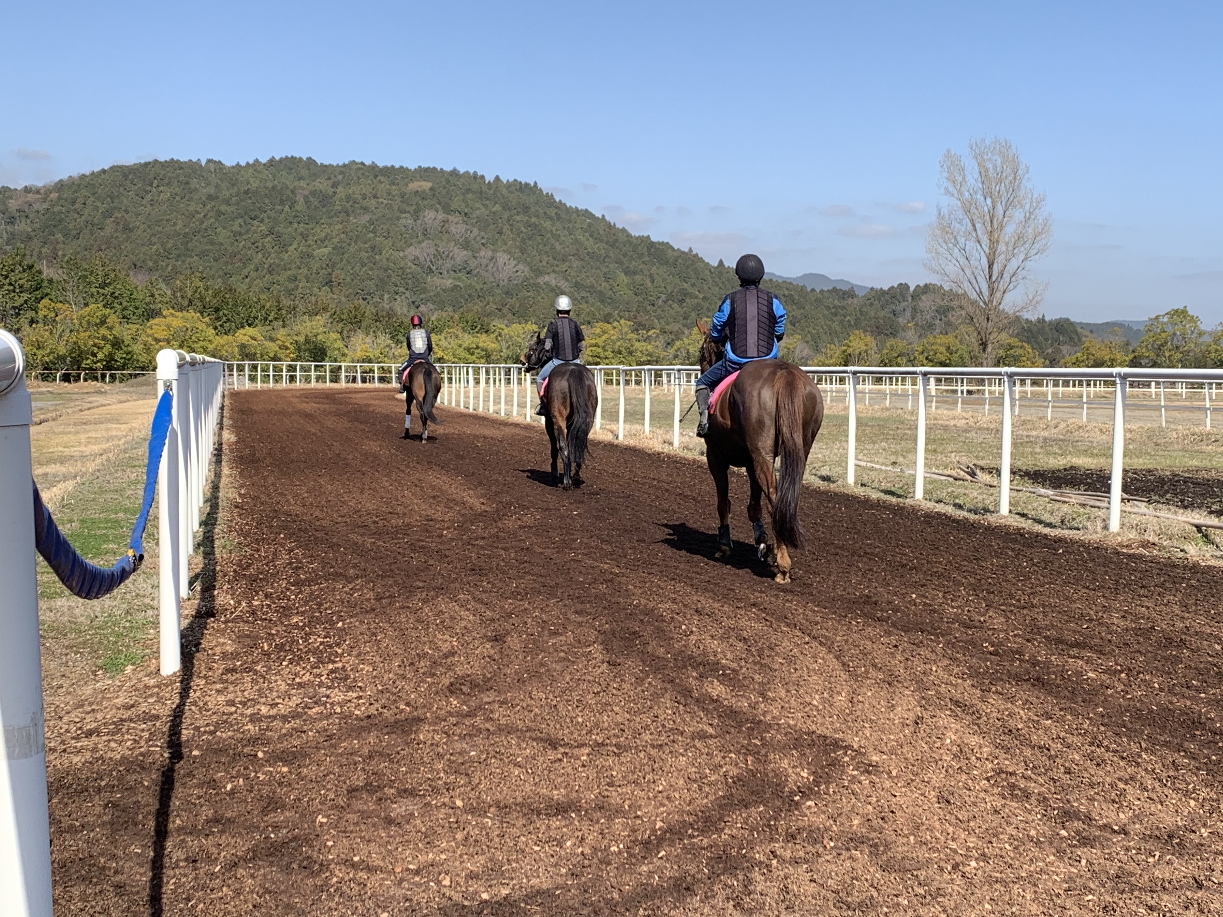 研修生の後ろ姿 関西 馬の学校 湖南馬事センター 最短で競走馬の世界へ 湖南馬事センター 研修センター